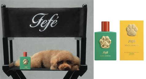 jordan dolce gabbana|Dolce & Gabbana Debuts $108 Dog Perfume With .